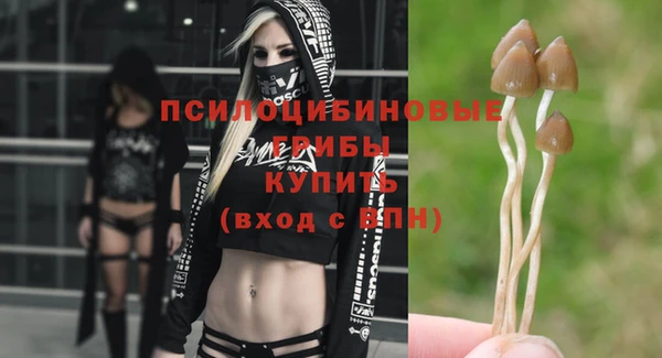 не бодяженный Алзамай