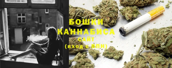 дмт Осинники